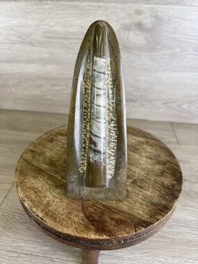 Vintage Standing Orthoceras Fossil 7” - Prehistoric Cephalopod Natural Display